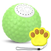 Cat Upgrade Remote Control Rolling Ball