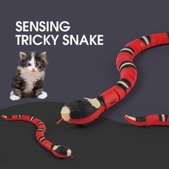 Interactive Automatic Eletronic Snake Cat Toys