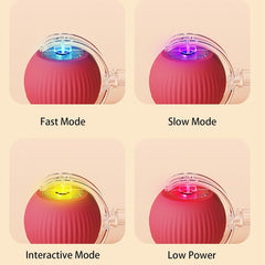 Interactive Cat Ball Toy 360  Smart Automatic Rolling