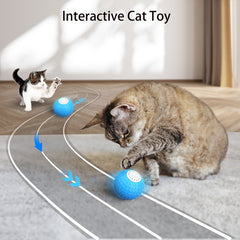 Cat Upgrade Remote Control Rolling Ball