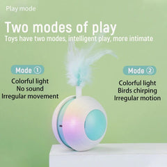 Pet Electric Toy Ball Feather Teaser Cat Stick 2025