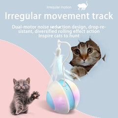 Pet Electric Toy Ball Feather Teaser Cat Stick 2025