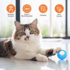 Cat Upgrade Remote Control Rolling Ball